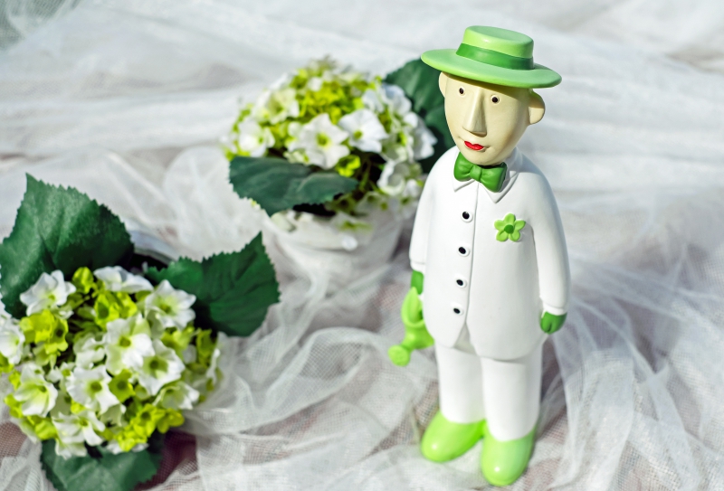 ecommerce-ST ANTONIN-min_man-person-flower-green-toy-fig-546529-pxhere.com